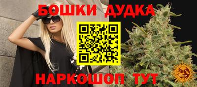 МДПВ Гай