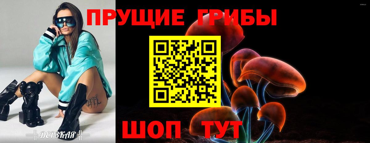 Галлюциногенные грибы GOLDEN TEACHER Москва