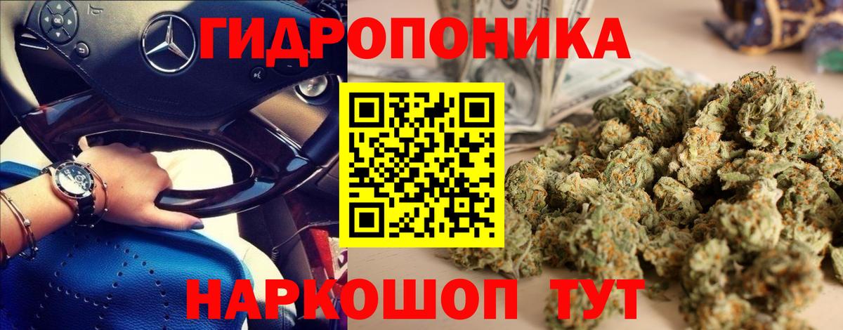 Каннабис планчик Москва